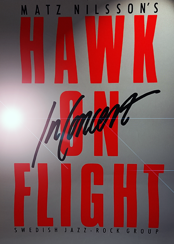 Hawk On Flight